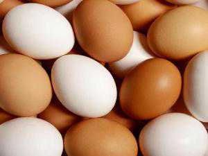 什么是供卵_供卵成功率大吗,北京供卵公司博诺（上海世纪供卵试管公司）
