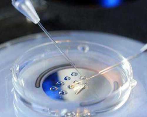 探秘邵逸夫医院试管技术：助您圆梦生育