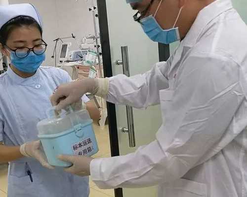 剖析母兔孕期多发病与有效应对策略